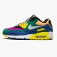 Nike Womens/Mens Air Max 90 Viotech CD0917 300 Running Sneakers