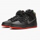 Nike Mens Dunk SB High Spot Gasparilla 313171 028 Running Sneakers