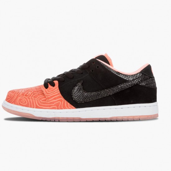 Nike Womens/Mens Dunk SB Low Premier Fish Ladder 313170 603 Running Sneakers