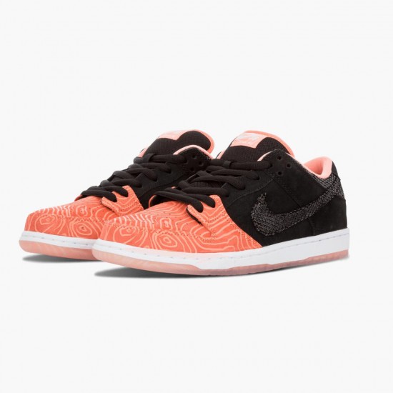 Nike Womens/Mens Dunk SB Low Premier Fish Ladder 313170 603 Running Sneakers