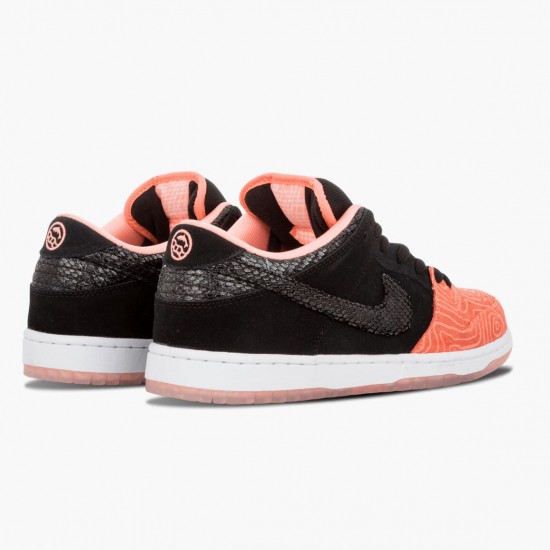 Nike Womens/Mens Dunk SB Low Premier Fish Ladder 313170 603 Running Sneakers